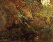 阿尔伯特 比尔施塔特 : Ferns and Rocks on an Embankment